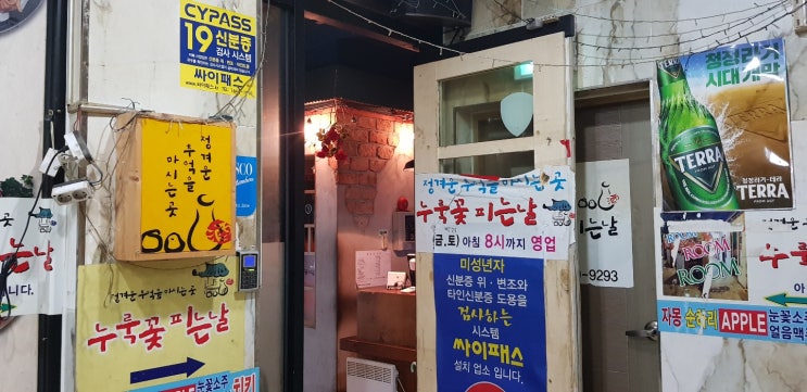  [전주]누룩꽃피는날/막걸리/신시가지/전주술집/육전맛집/과일막걸리/뻥튀기아이스크림/룸술집/전주맛집