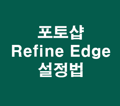 포토샵 cc Refine Edge 설정법 포토샵 cc Refine Edge 설정법