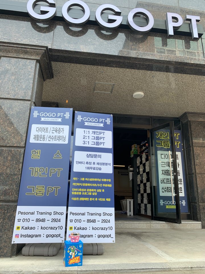  고고피티