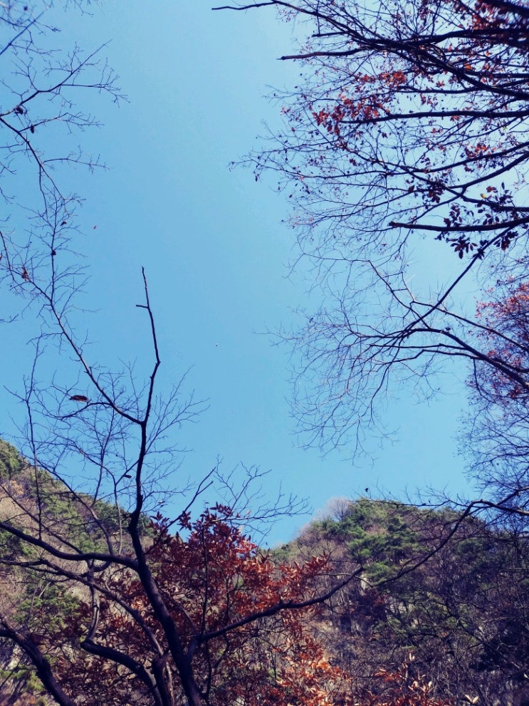  남원 지리산식당 삼목식