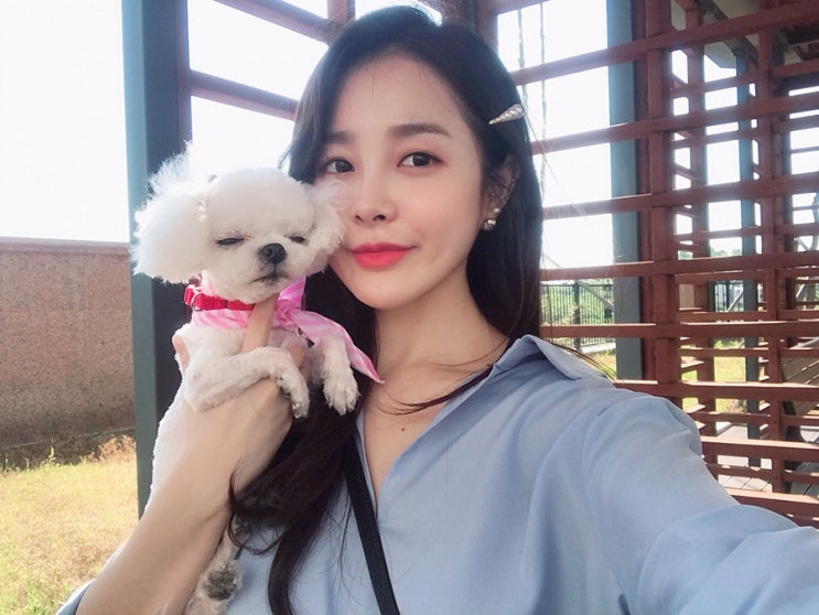  비앙언니 블기장 5page/2019