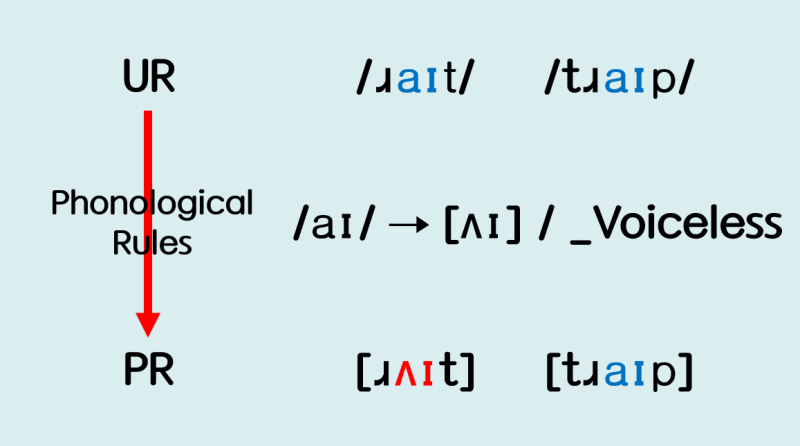 *Exercies - Finding Phonological Rules ① : 네이버 블로그