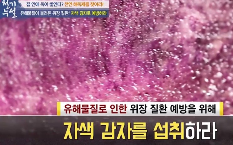  혈관에 좋은 음식, 콜레스테롤 낮추는 음식 & 위장질환에 좋은 식품?