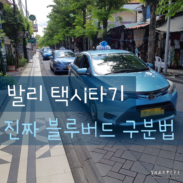  여자혼자발리여행) 발리택시, 진짜 블루버드 택시 구별하고 사기당하지 마세요