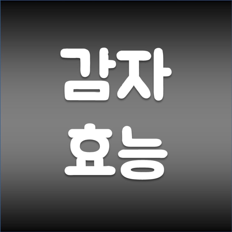 천연해독제 감자 효능 홍감자 자색감자 홍영