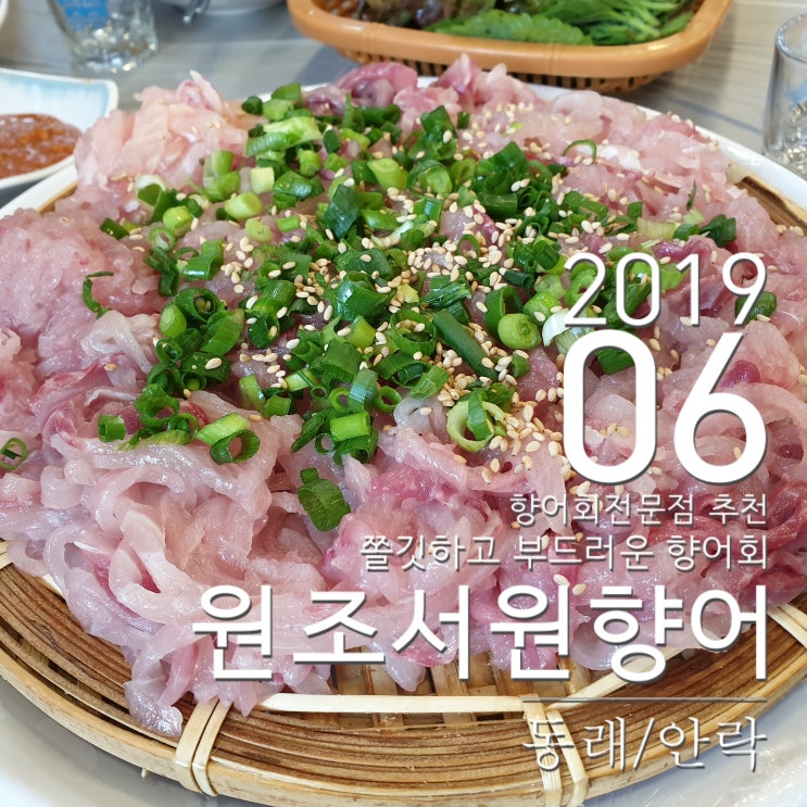  동래 서원시장 향어회 전문점 원조서원향어. 가장 만족스러웠던 향어횟집