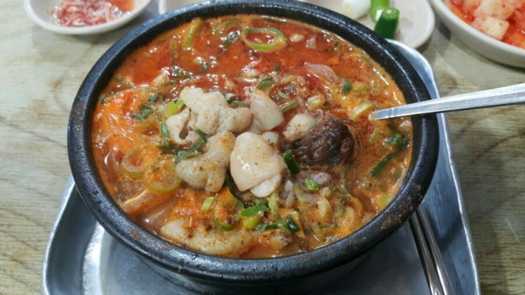 당주동(광화문역) 순대국 맛집 화목순대국