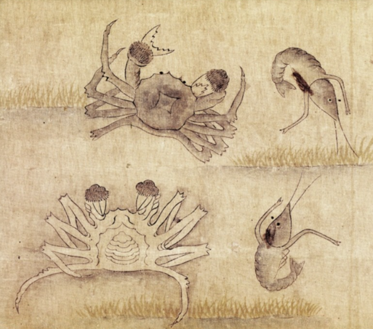  바다물고기를 관찰한 정약전의 자산어보(玆山魚譜)