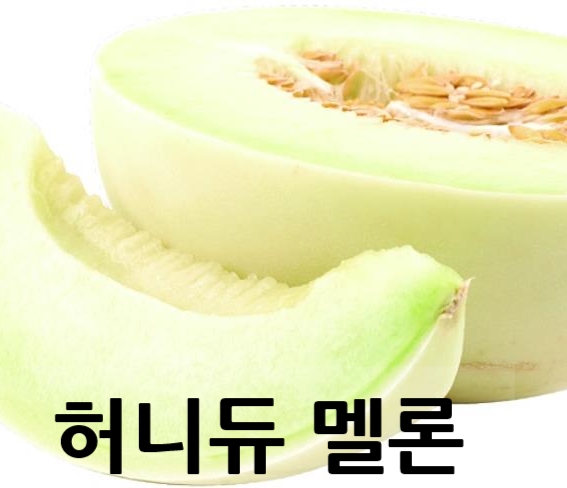  허니듀멜론 혹시 아시나요?