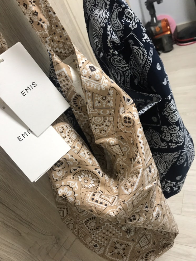  19] EMIS 이미스에코백