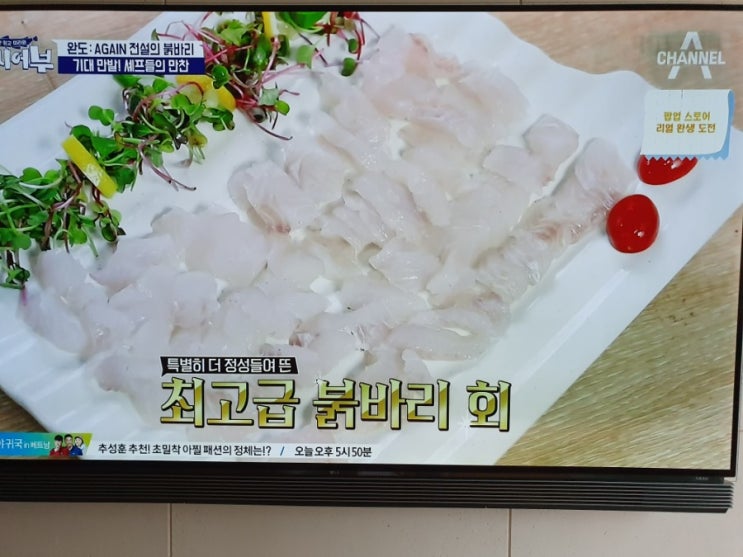  도시어부에 완도가 나왔어요.