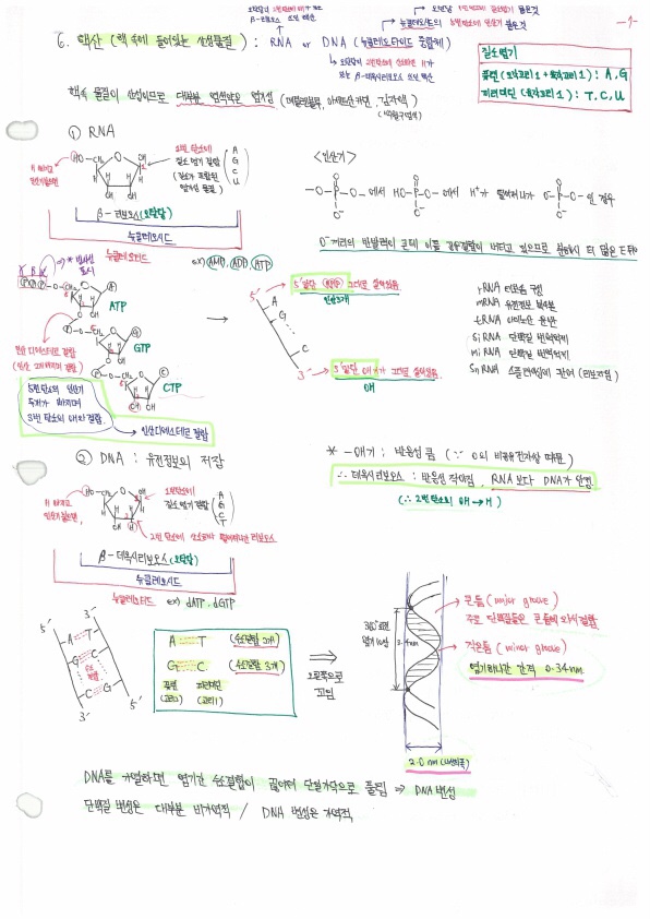  PEET 약대 합격생 생물 필기노트(백분위:99.3%)-피트생물