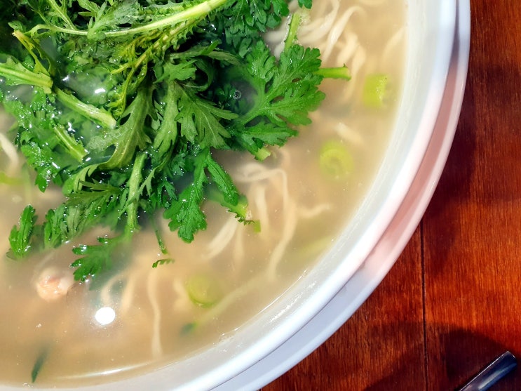  세종 칼국수 물총조개넣은 깔끔한 동동