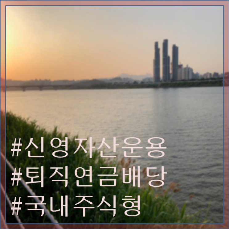  아홉 번째 펀드소개-신영퇴직연금배당주식증권(주식)