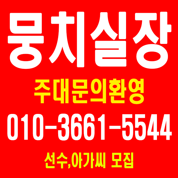  남영동 효창동 공덕동 아현동 회현동 호빠 남자도우미 남성도우미 가라오케 올초이스 퍼블릭 퐈이야스텍