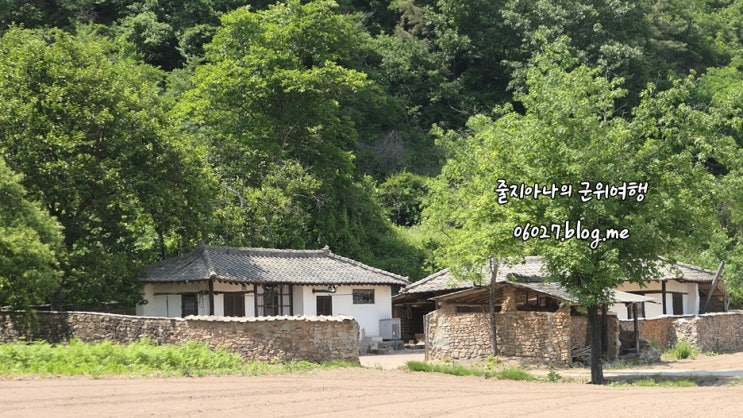  영화 속 그곳, <리틀 포레스트> 촬영지 박살낸 후기