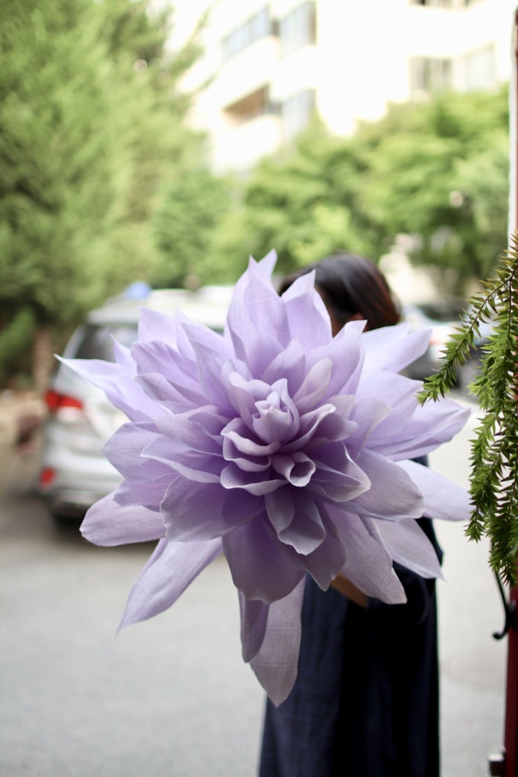  [꽃이피다 Bloom] 연보라  다알리아 자이언트한송이 #청주 사창동 꽃집