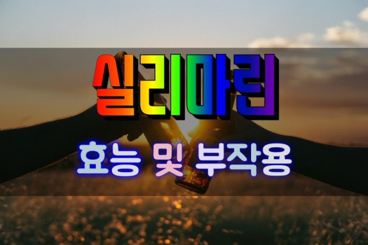  간기능을 회복시키는 실리마린 효능 및 부작용 심층분석