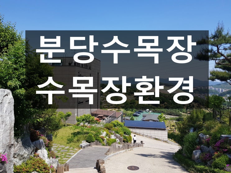  분당수목장 자연환경이 아름다워요.