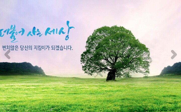 동성제약 의료기기 특허 6개국 실시권 계약ᆞ대한광통신(광섬유 프로브) 동성제약 의료기기 특허 6개국 실시권 계약ᆞ대한광통신(광섬유 프로브)
