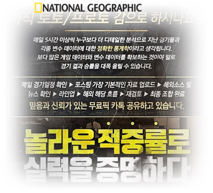  스포츠분석 6월16일 FC서울 VS 수원삼성 K리그 축구분석