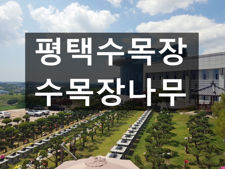  평택수목장 가격 비교해 보겠습니다.