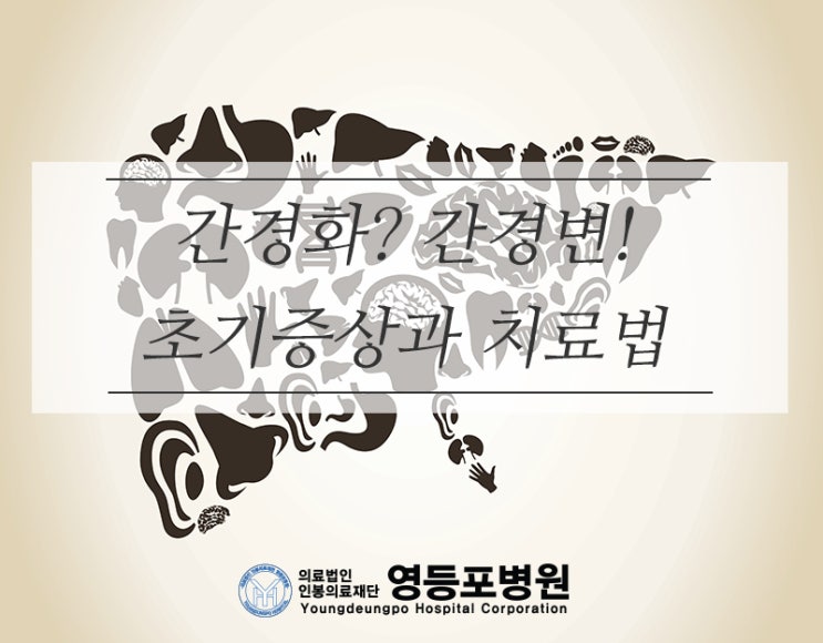  간경화? 간경변! 초기 증상과 치료법