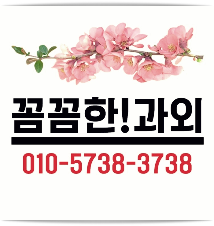  강남과외 강남구수학과외 영어과외 초등학생 중학생 고등학생 전문과외 선생님