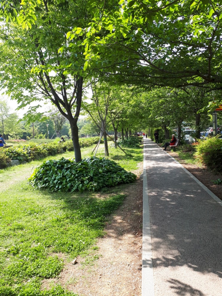  박완서작가와미니멀라이프