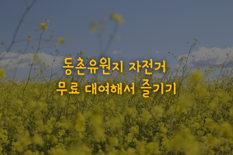  [대구] 동촌유원지 자전거 무료 대여해서 즐기기^^