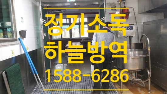  여름 바퀴벌레 퇴치와 소독은 어디에서 해야할까요??