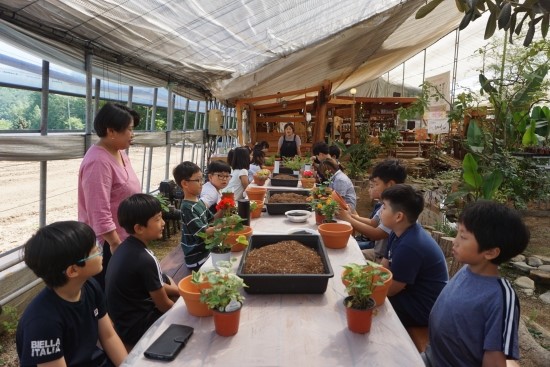  2019/06/12 - [영월] 꽃피는 산골(나만의 화분만들기, 모히또 체험) & [자율] 신뢰 서클