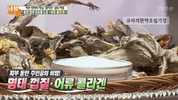  콜라겐 효능 저분자피쉬콜라겐! 어류콜라겐가루 먹는법 부작용 저분자콜라겐펩타이드
