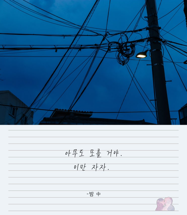  [여행시집 #37] 밤