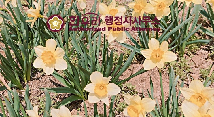  렌터카 인수 자동차 명의 이전등록 방법