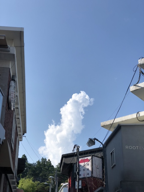  오늘의 날씨 2019.6.15