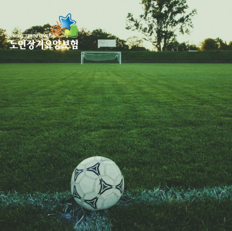  입주요양보호사, 입주간병인, 가정간병인 안내 [노인장기요양등급 혜택]