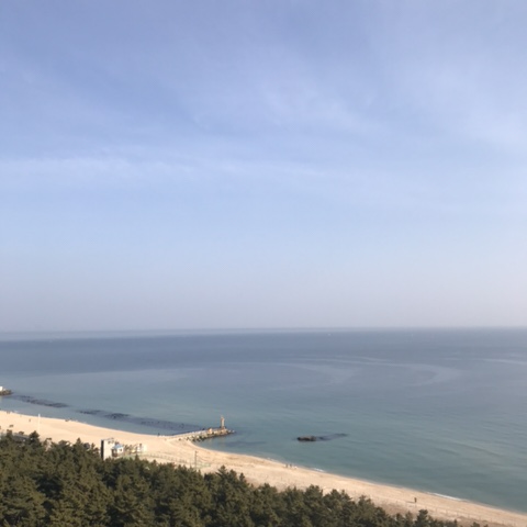  사랑하는 이 계절