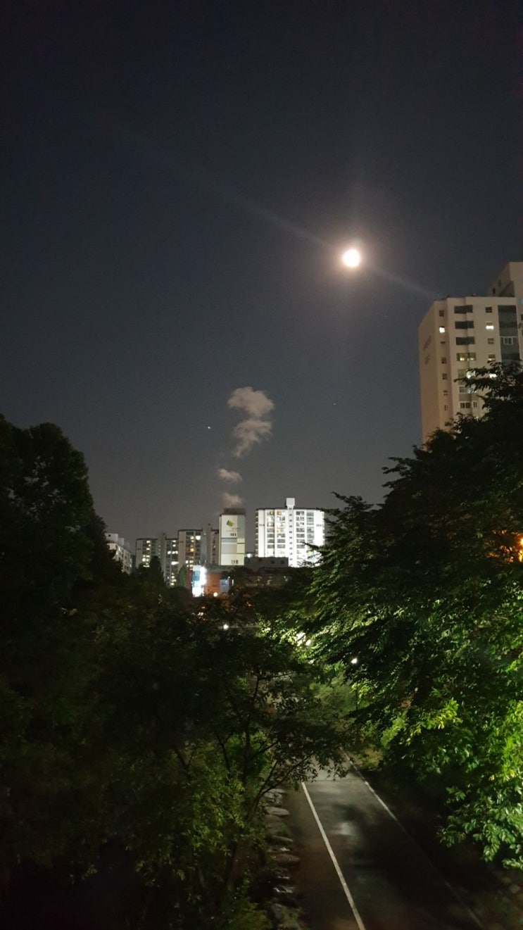  2019.06.15일 저녁풍경 보름달 과 별 과 ?