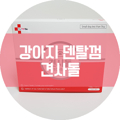  [강아지 껌] 견사돌