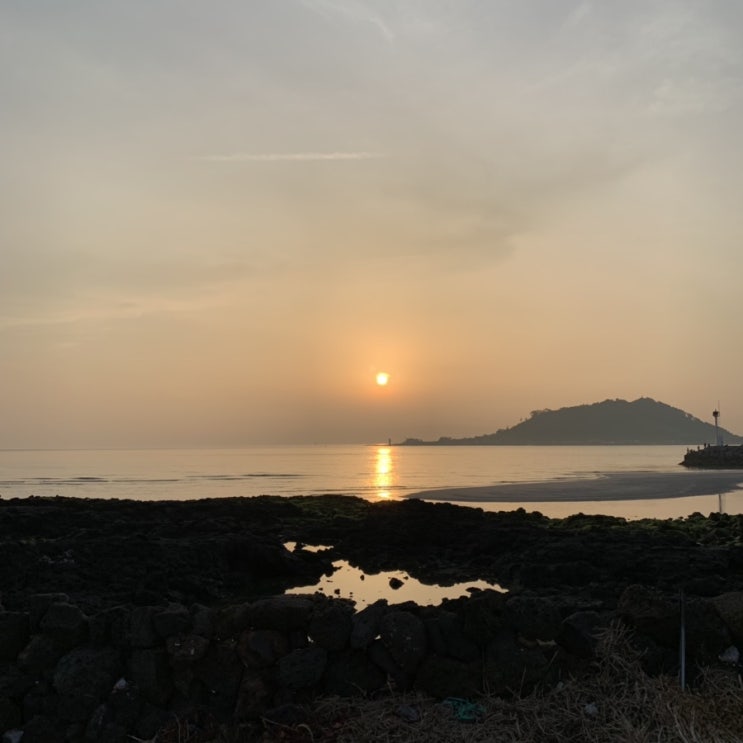  2019. 06. 01 ~ 2019. 06. 30 (제주6달 살기)