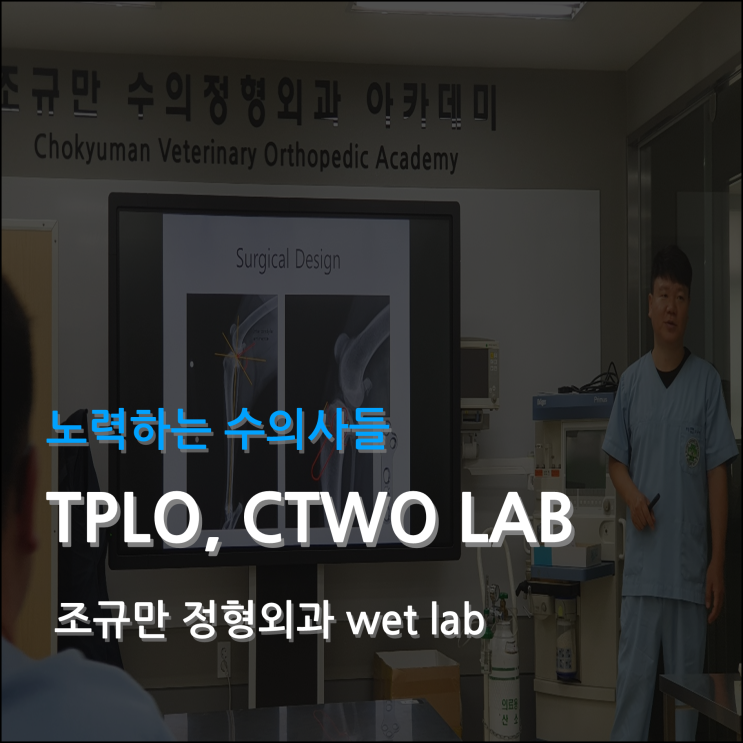  십자인대 교정법 Wet Lab 참석: 외과전공의 박성균 대표원장