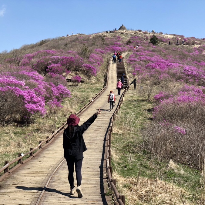 지리산 노고단, 가성비 쩌는 지리산 등산코스! (어서와 한국은 처음이지 네덜란드편)