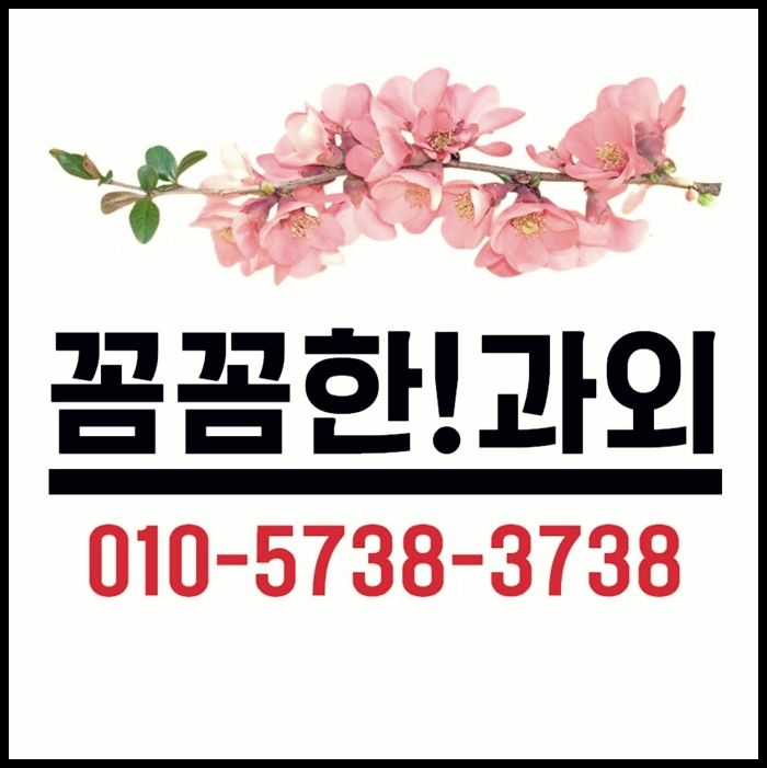  강남구 도곡동과외 수학과외 영어과외
