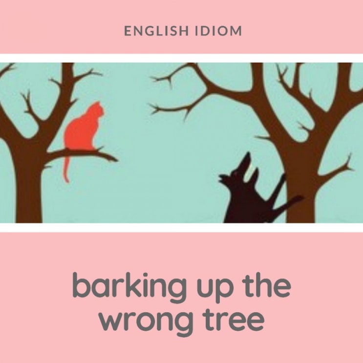  barking up the wrong tree/잘못 짚다, 헛다리짚다
