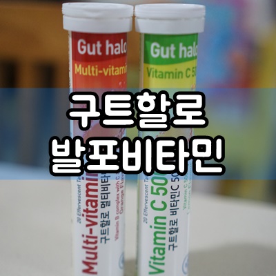  발포비타민 추천 구트할로 비타민으로 맛있게 비타민음료 즐기기