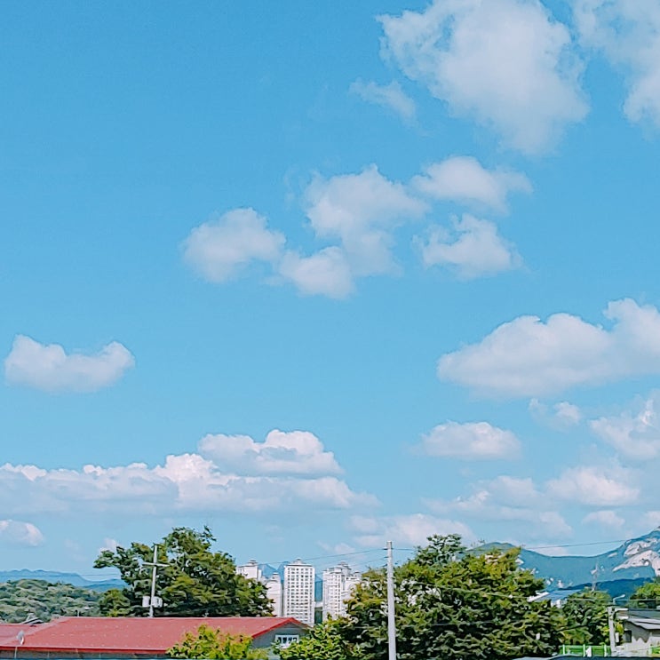  팟캐스트