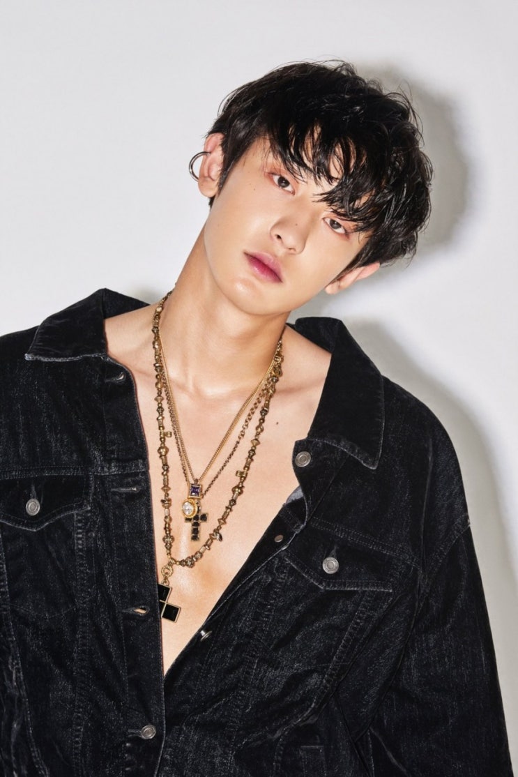  엑소 찬열 프로필