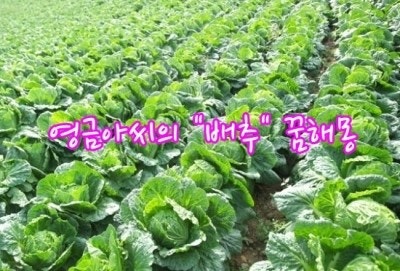 * 의정부점집"영금아씨"와 함께 알아보는 꿈해몽 - *