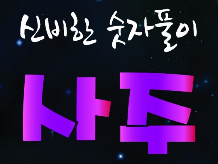  "윤석열" 검찰청장 후보 신비의 숫자풀이 사주 운세 풀이